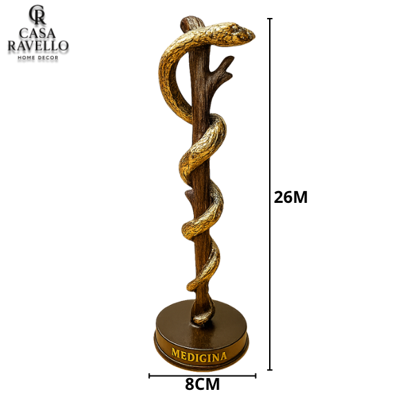 Estátua Medicina decorativa em Resina - Scala Vitae